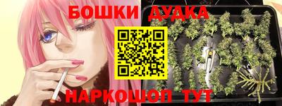 jwh Кимры