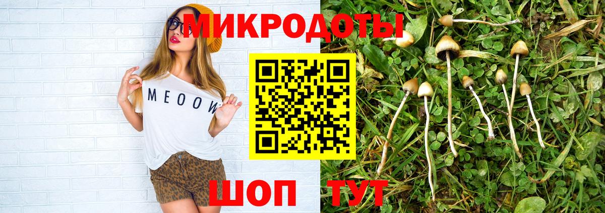 Коркино  Псилоцибиновые грибы прущие грибы  Вход с VPN 